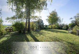   Garten mit Baumbestand