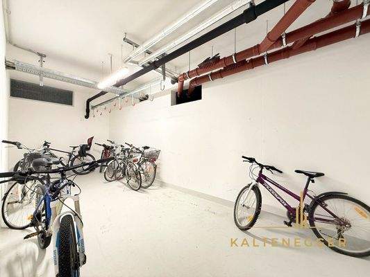 Fahrradabstellraum (für 10 Wohnungen im Haus)