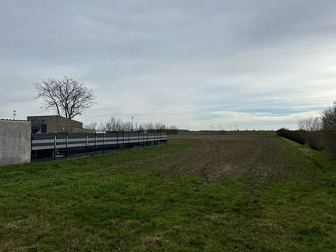 Bad Dürrenberg Grundstücke, Bad Dürrenberg Grundstück kaufen