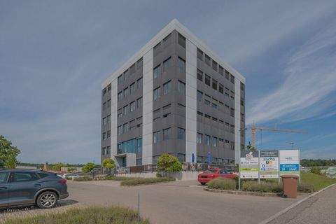 Engen Büros, Büroräume, Büroflächen 