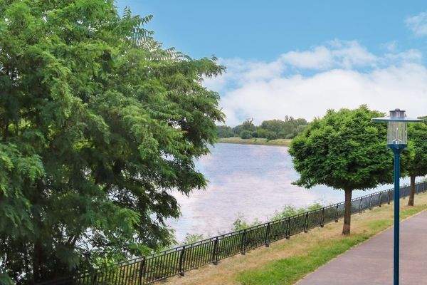 Elbblick Richtung Mückenwirt