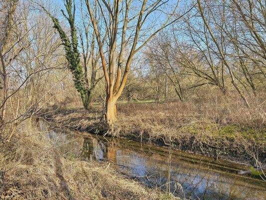 Bach am Grundstück gelegen