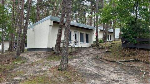 Trassenheide Häuser, Trassenheide Haus kaufen