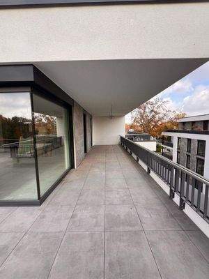 IMG_7542 2024-10-28 12_31_02.JPG