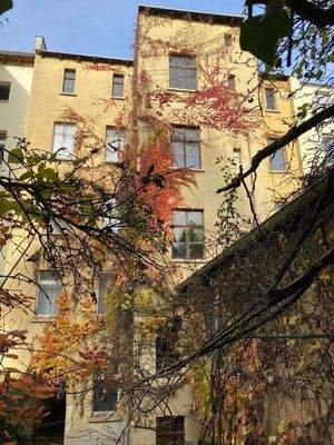 Hofansicht des MFH.jpg