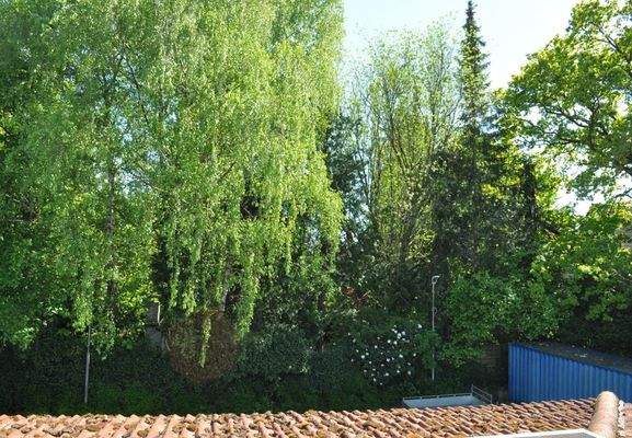 Blick vom Pausenbalkon