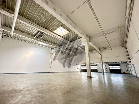 INFOS UNTER: 06171-586000