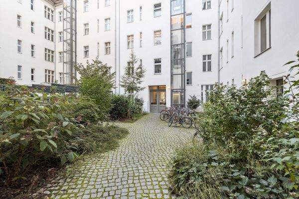 backbone_576373-A_028_WEB