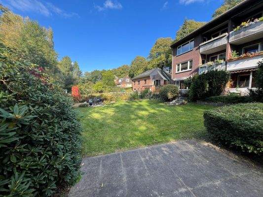 Blick in den Garten 1