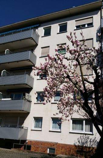 Objektbeschreibung: ... - Vermietung 4-, Mehr-Zimmer-Wohnungen