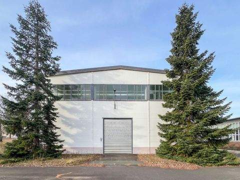 Coswig Halle, Coswig Hallenfläche