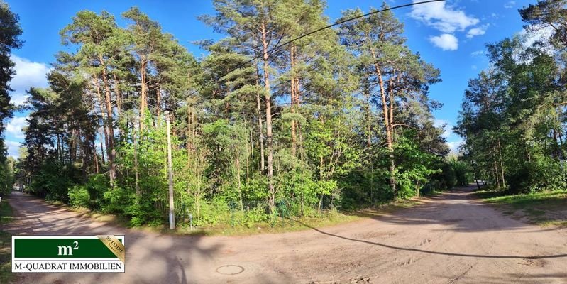 Panoramabild links Im Winkel 9 rechts Auf der Heide 1