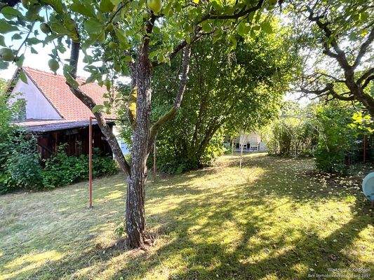 Hier könnte Ihr neues Zuhause entstehen!