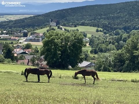 Oberhöflein Häuser, Oberhöflein Haus kaufen