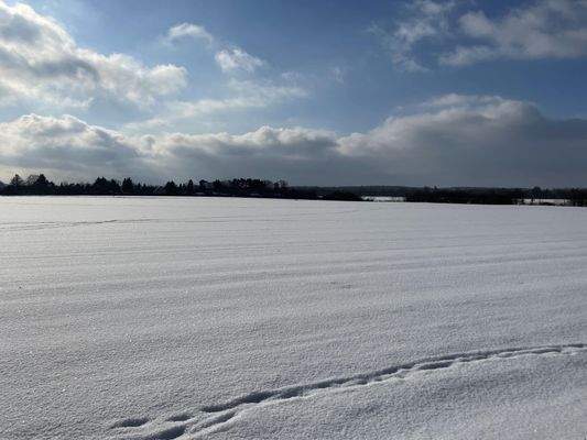 Der Winter um die Ecke auf dem Feld