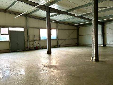 Bamberg Halle, Bamberg Hallenfläche