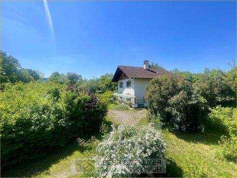 Dorfen Häuser, Dorfen Haus kaufen