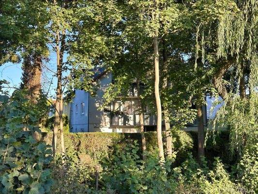 Ansicht gegenüber vom Bach