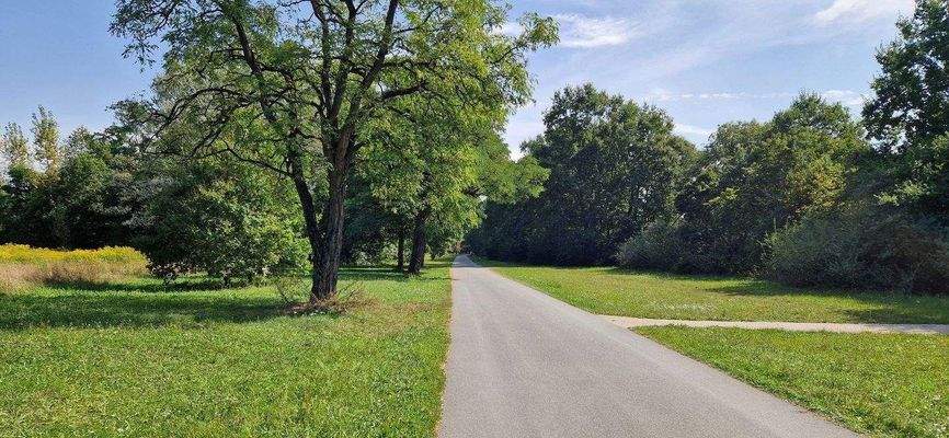 Ihr Nachbar - der Marienbergpark