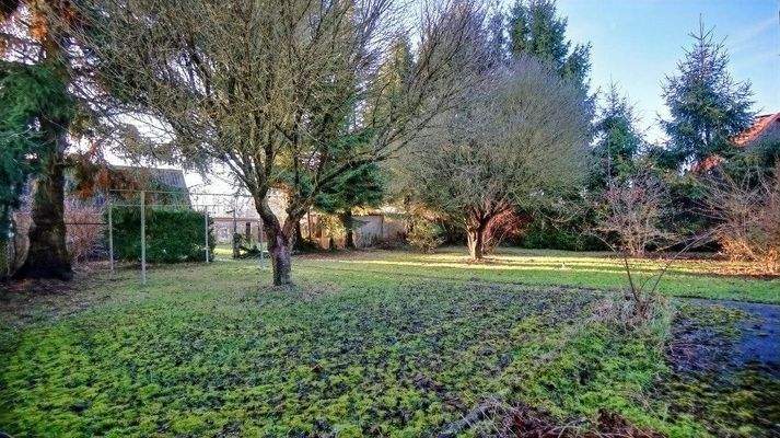 Garten hinter dem Haus