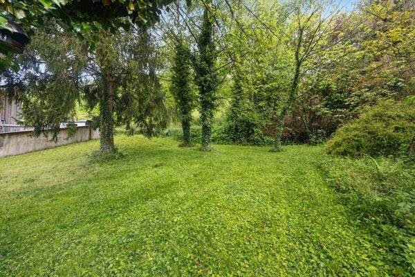 Grünflächen oberhalb des Hauses