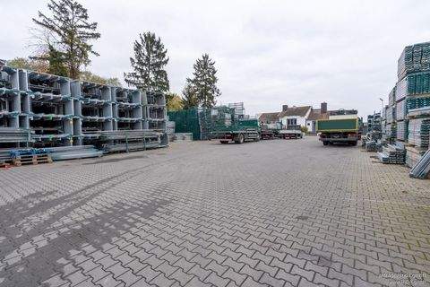 Köln Halle, Köln Hallenfläche