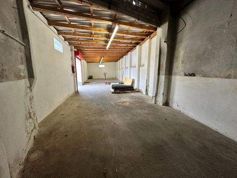 Dresden Halle, Dresden Hallenfläche