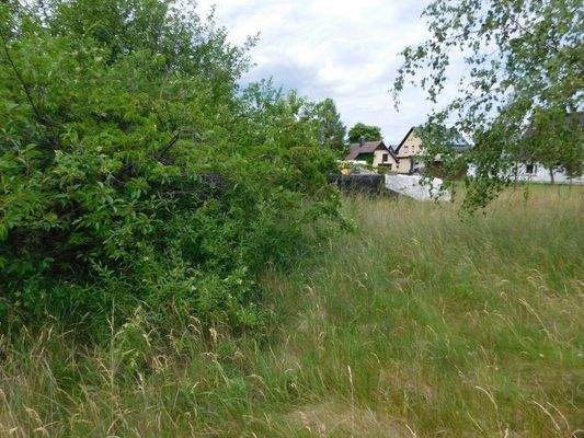 grünes, lebendiges Grundstück