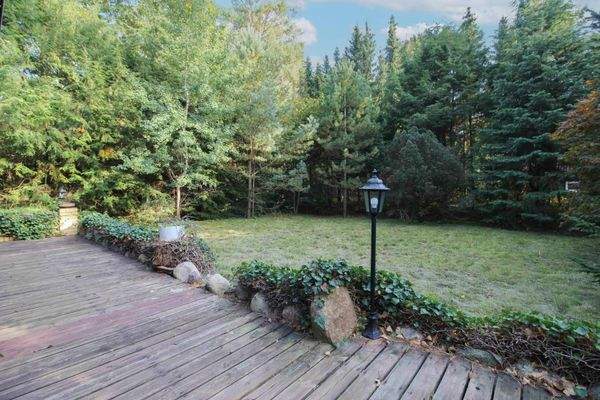 Blick in den Garten (2)