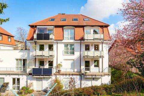 Dresden Wohnungen, Dresden Wohnung kaufen