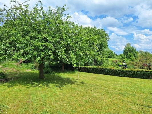 Blick in den Garten mit altem Baumbestand