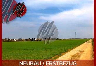 INFOS UNTER: 06171-586000