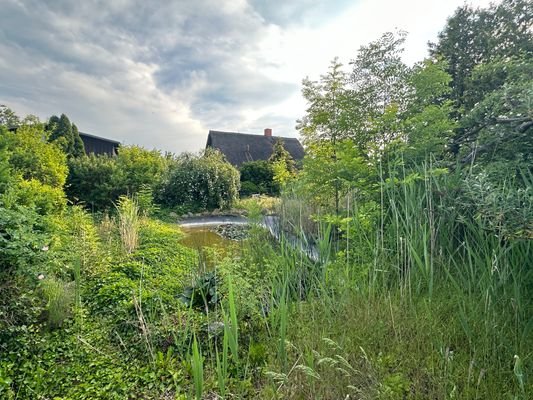 Separater Garten mit Teich