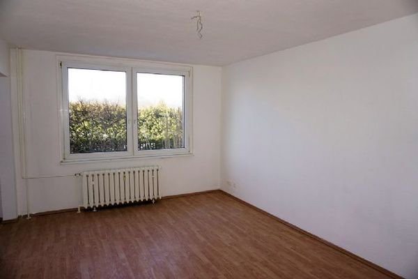 Hauptgebäude eine Wohnung EG (4)
