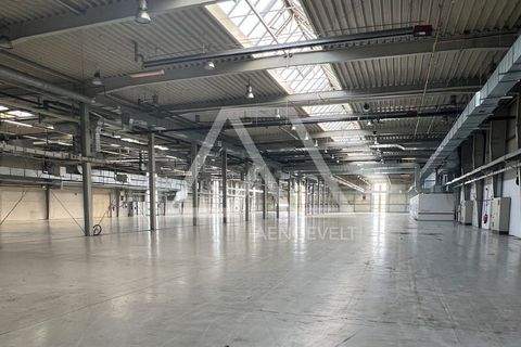 Haldensleben Halle, Haldensleben Hallenfläche