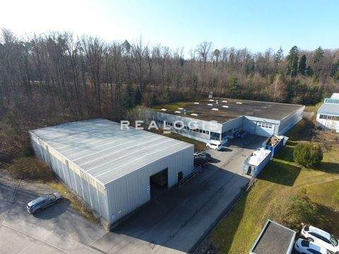 Wimsheim Halle, Wimsheim Hallenfläche