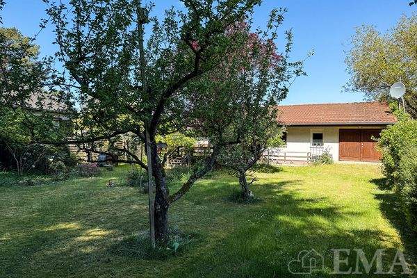 Garten mit Obstbäumen