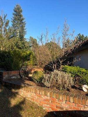 Groß (IMG_1353).jpeg