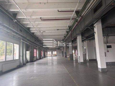 Nürnberg Halle, Nürnberg Hallenfläche