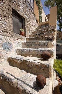 img_667bb984-f65b-4332-b1a4-eaa2f23d7d08