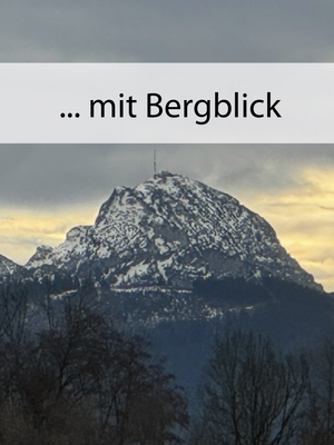 mit Bergblick.png
