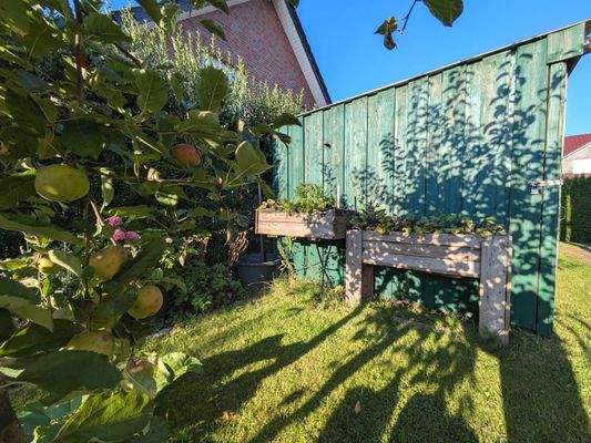 Wir ernten was wir säen - lecker Äpfel beispielsweise