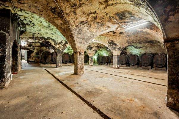 Unterirdische Kelterhalle