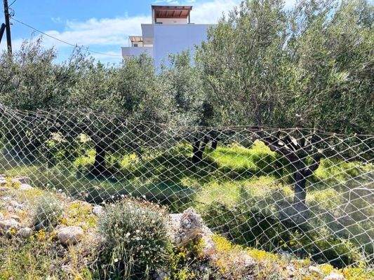 Südostkreta, Makry Gialos: Grundstück mit Meerblick zu verkaufen
