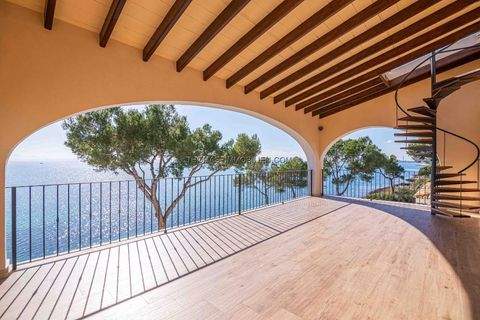 Alcúdia Häuser, Alcúdia Haus kaufen