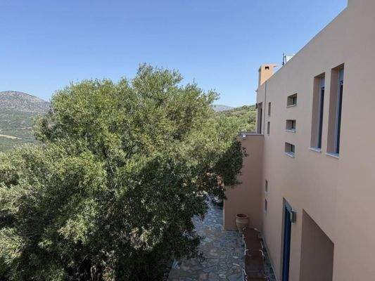 Kreta, Exo Lakkonia: Villa auf dem Land mit Pool, Olivenhain und Bergblick zu verkaufen