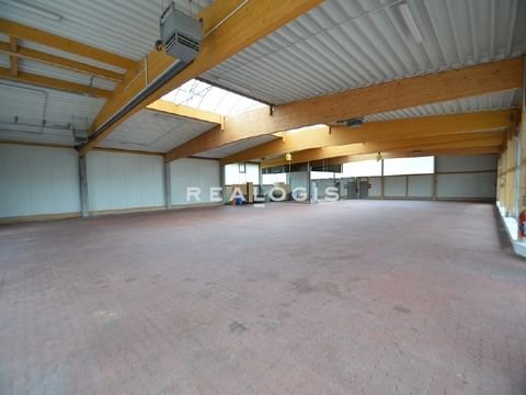 Stelle Halle, Stelle Hallenfläche