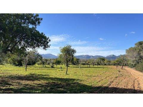 Marratxí Grundstücke, Marratxí Grundstück kaufen