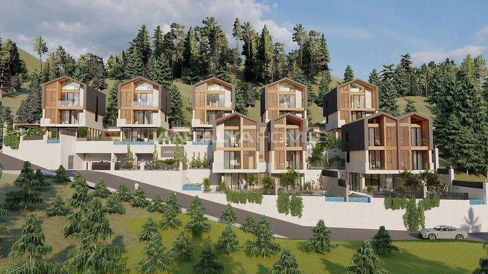 Detached Houses with Sea Views and Pools in Alanya Tepe