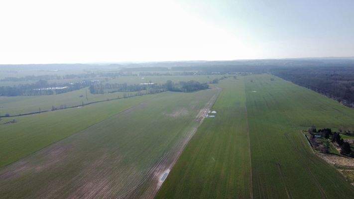 Wiesen und Felder der Umgebung Richtung West